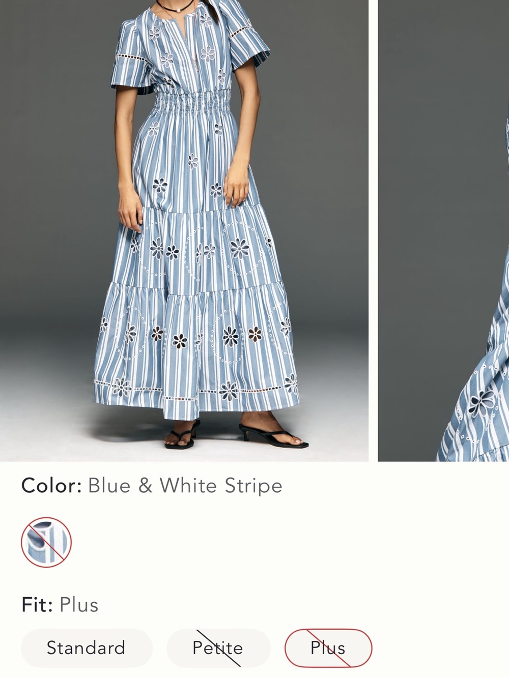 Anthropologie Blue and White Striped Eyelet Maxi Dress - Picture 3 of 8